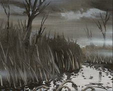 Swamp