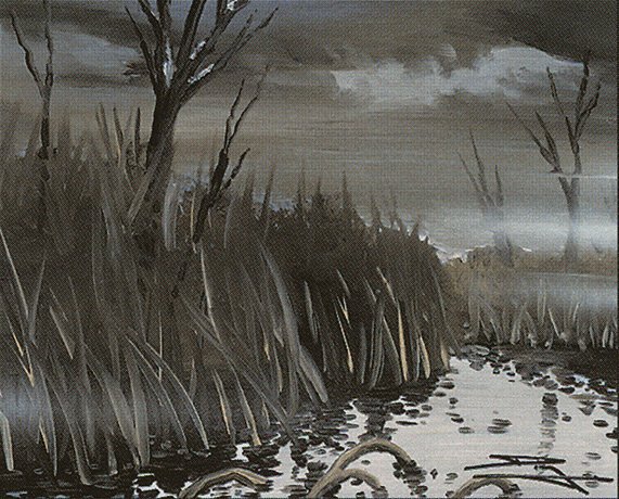 Swamp