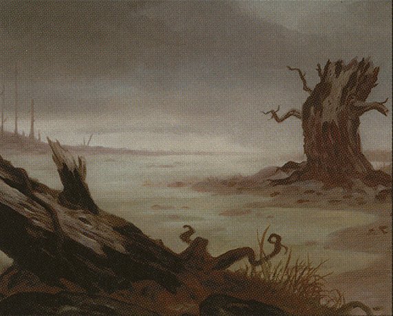 Swamp