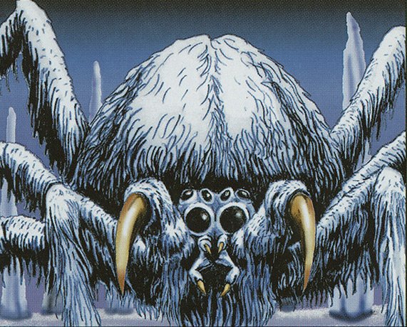 Woolly Spider