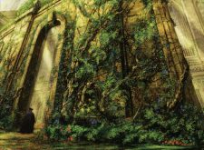 Abundant Growth