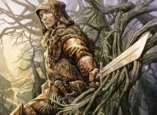 Borderland Ranger