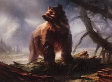 Druid’s Familiar