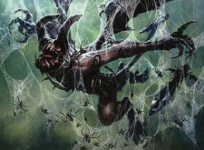 Eaten by Spiders