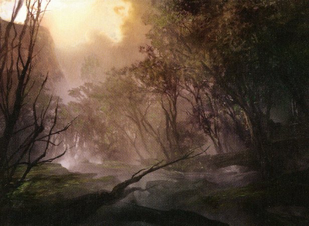 Forest