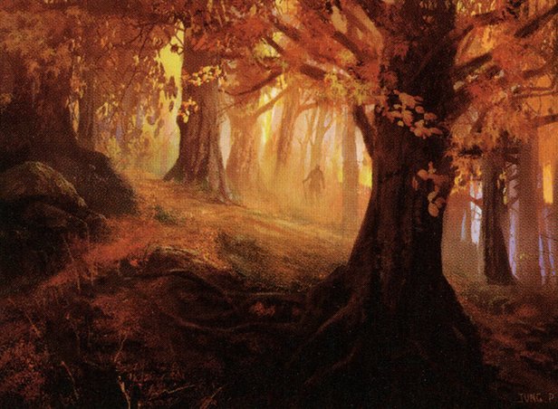 Forest