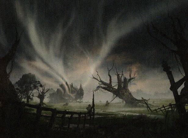 Swamp