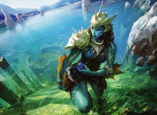 Coralhelm Guide