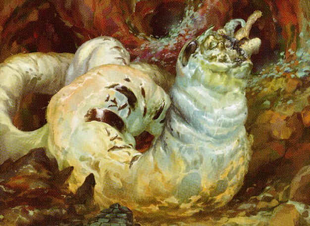 Rotfeaster Maggot