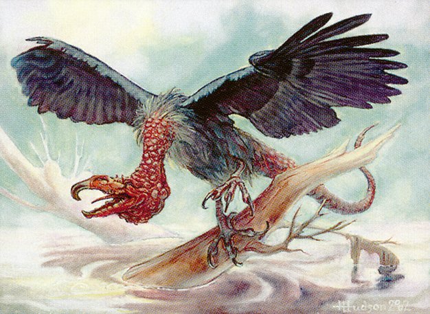 Screeching Buzzard