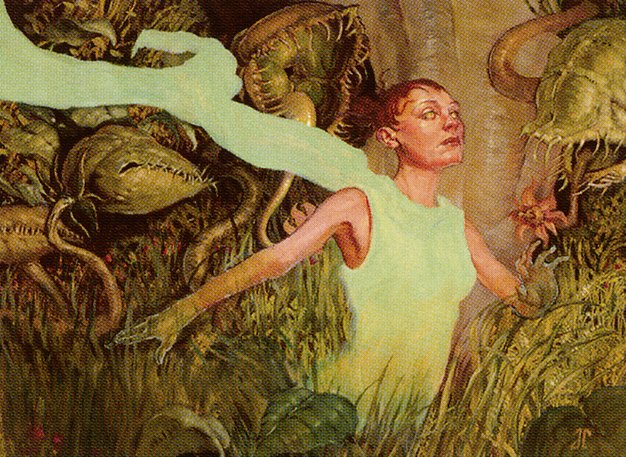 Seedborn Muse