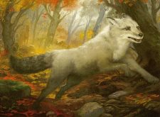 Silverchase Fox