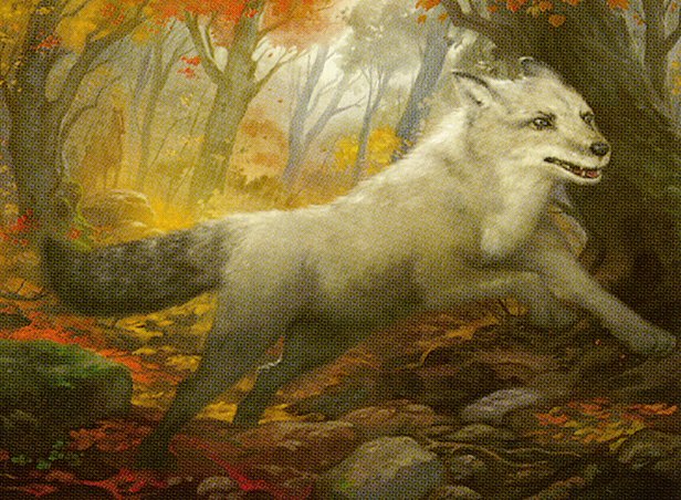 Silverchase Fox