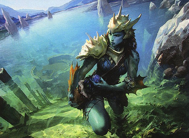 Coralhelm Guide