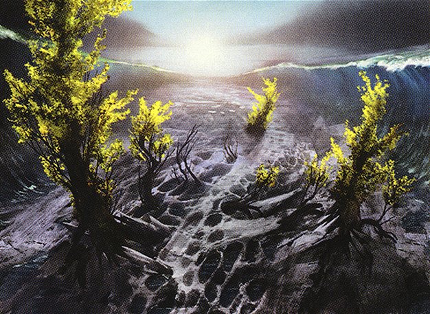 Evolving Wilds