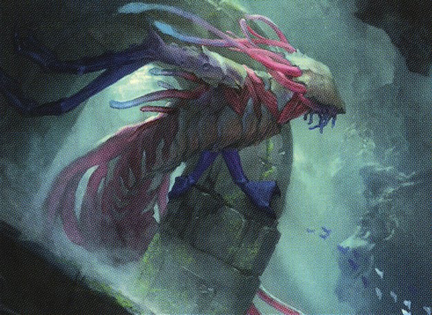 Fathom Feeder