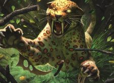 Scythe Leopard