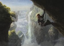 Seek the Wilds