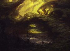 Swamp