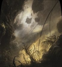 Swamp