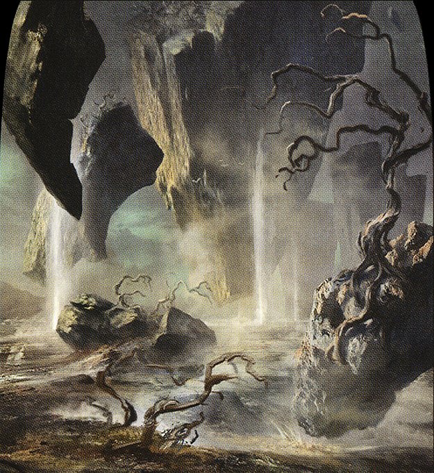 Swamp