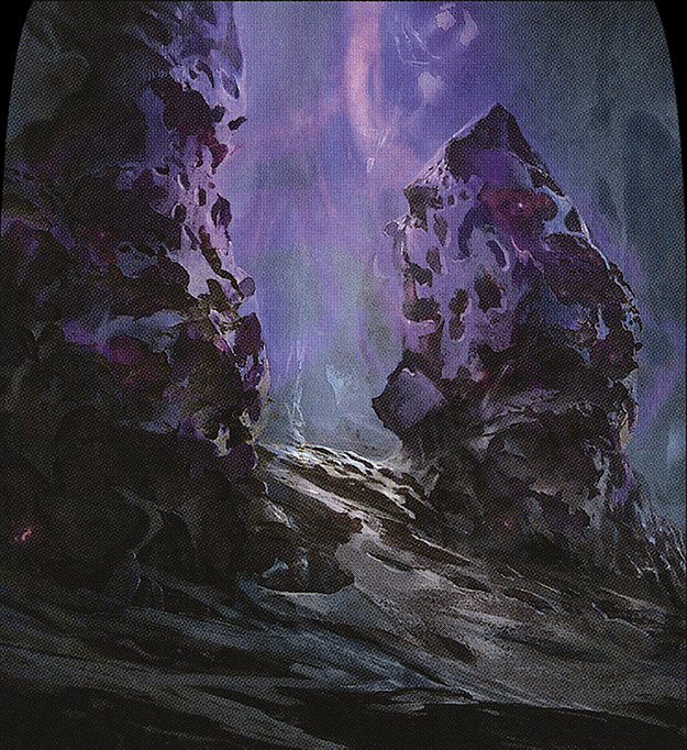 Swamp