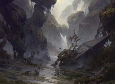 Swamp
