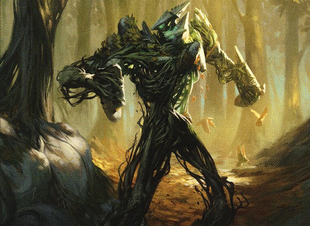 Undergrowth Champion