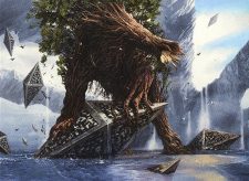 Woodland Wanderer