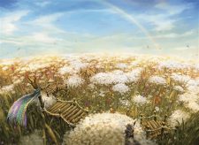 Plains