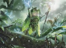 Sunshower Druid