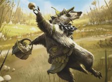 Brightcap Badger // Fungus Frolic