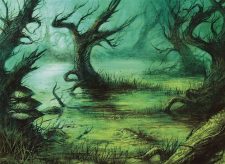 Flooded Grove
