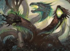Managorger Hydra