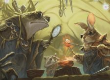 Rootcast Apprenticeship