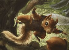 Scurry of Squirrels