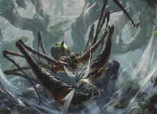 Skyfisher Spider