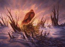 Sunbird’s Invocation