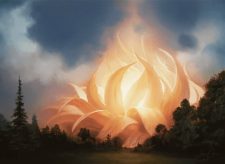 Sunpetal Grove