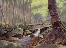 Tranquil Thicket