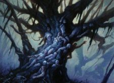 Black Oak of Odunos