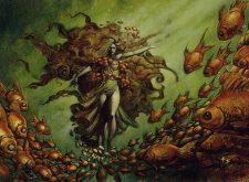 Nourishing Shoal