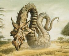 Dirtcowl Wurm