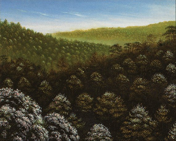 Forest