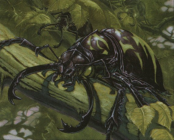 Pincher Beetles