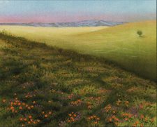 Plains