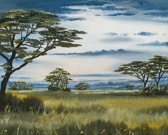 Plains