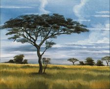 Plains