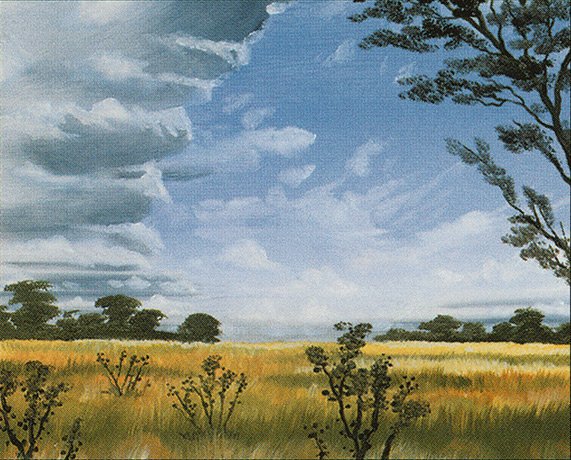Plains