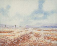 Plains